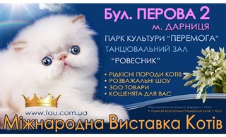 МЕЖДУНАРОДНАЯ ВЫСТАВКА КОШЕК